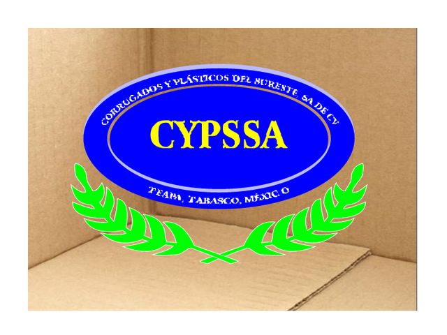 CYPSSA EL CONTENIDO DE NUESTROS EMPAQUE ES LO IMPORTANTE 