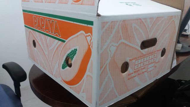 Caja para Papaya